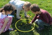 Fr&uuml;hlingsforscher 